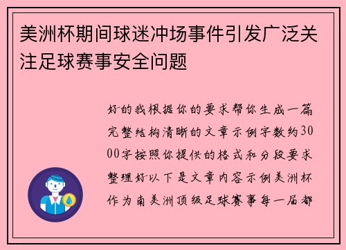 美洲杯期间球迷冲场事件引发广泛关注足球赛事安全问题 美洲杯期间球迷冲场事件引发广泛关注足球赛事安全问题